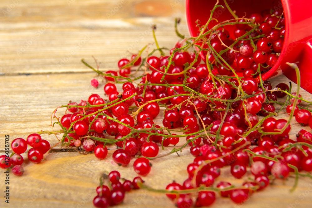 currants on wooden table background, spilled from a spice jar. .Antioxidants, detox diet, organic fruits. Berries