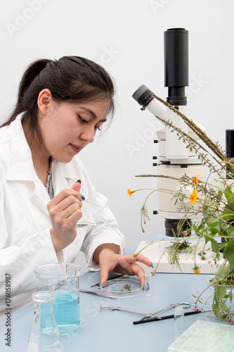 Young botanist at work, preparing fresh plant sample and examining specimen for further analysis