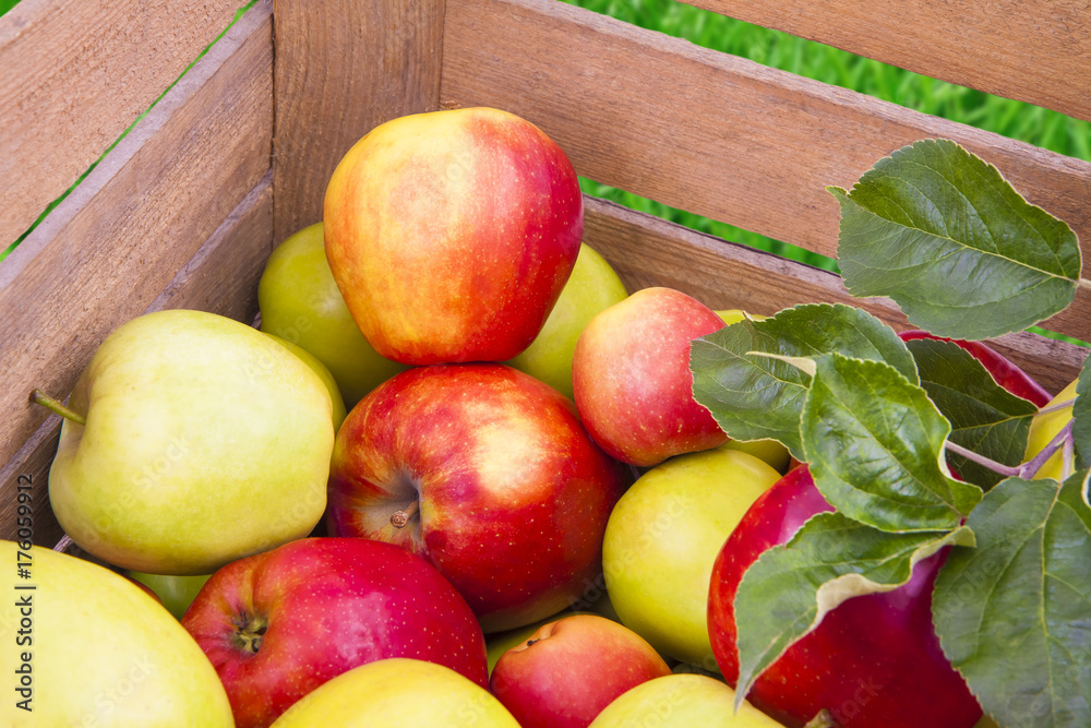 Fresh apples in wooden box Fresh apples in wooden box