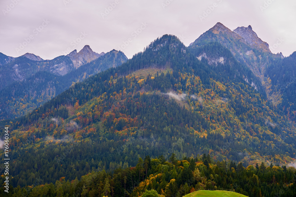 Fototapeta premium Colorful autumn forest in the mountains. View over the tree crowns.