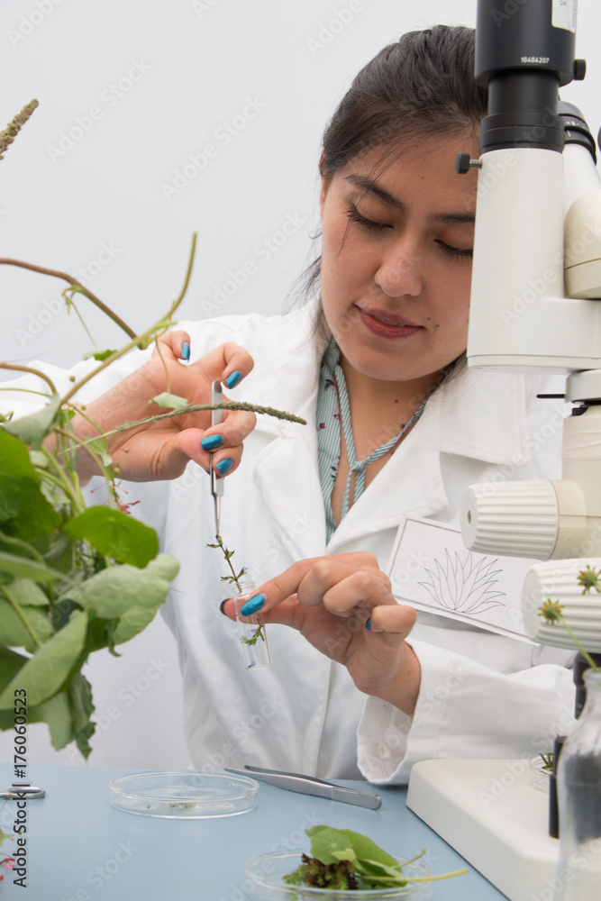 Young botanist at work, preparing fresh plant sample and examining specimen for further analysis Young botanist at work, preparing fresh plant sample and examining specimen for further analysis