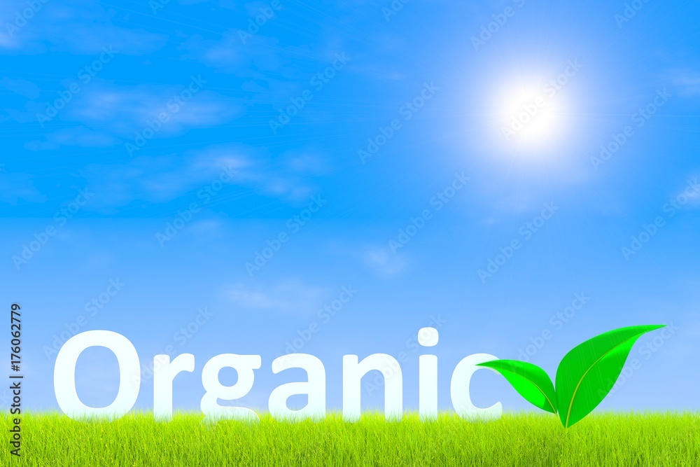 Organic conceptual green grass landscape background 3d illustration