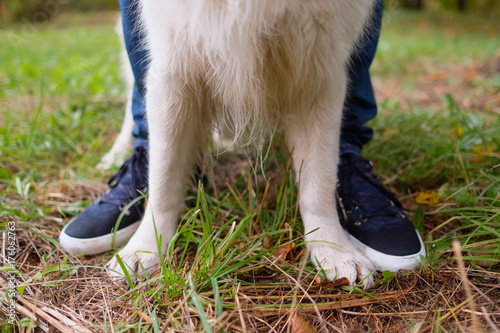 The paws of the golden retriever and the owner's boots on the green grass. photo