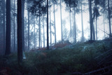 Dark scary foggy forest tree landscape with cobwebs. Artistic Halloween Holiday background.