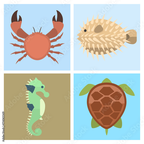 Vector sea animals creatures characters cartoon ocean underwater aquarium life water graphic aquatic tropical beasts illustration