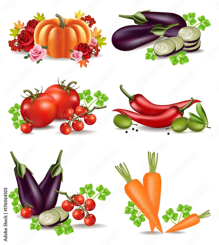 Vegetables autumn harvest set collection Vector. Realistic pumpkin, eggplant, carrots and tomatoes. Fall Season illustrations Vegetables autumn harvest set collection Vector. Realistic pumpkin, eggplant, carrots and tomatoes. Fall Season illustrations