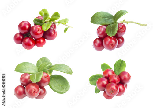 four very ripe cowberries - cranberries with leaves on the white background isolated