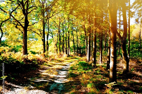 Herbst