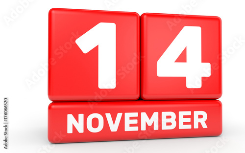 November 14. Calendar on white background.