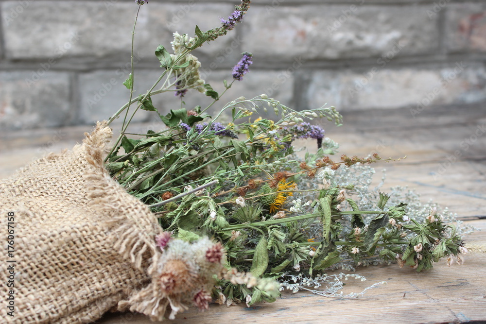 Fototapeta Dried medicinal herbs