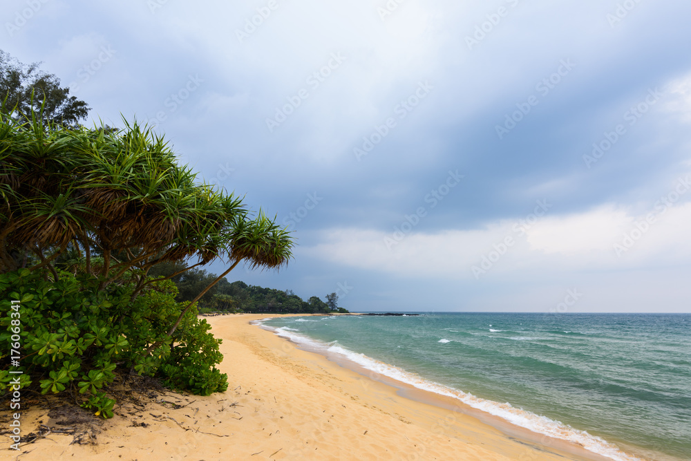 Tropical beach Tropical beach