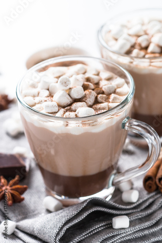 Hot chocolate or cocoa with marshmallow. Traditional winter drink.