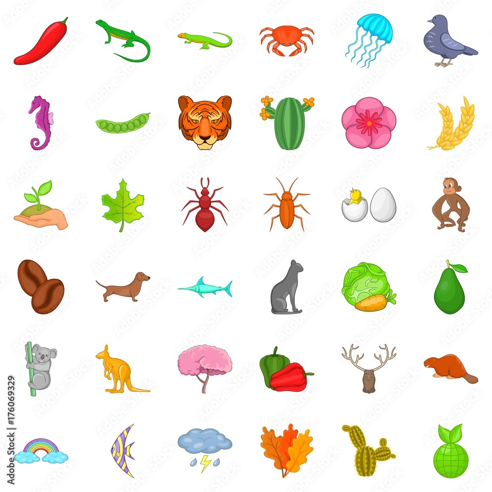 Kangaroo icons set, cartoon style Kangaroo icons set, cartoon style