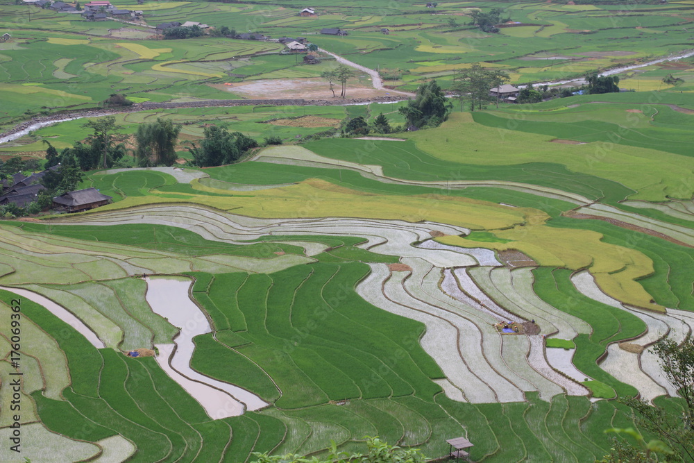 Obraz premium Mu Cang Chai