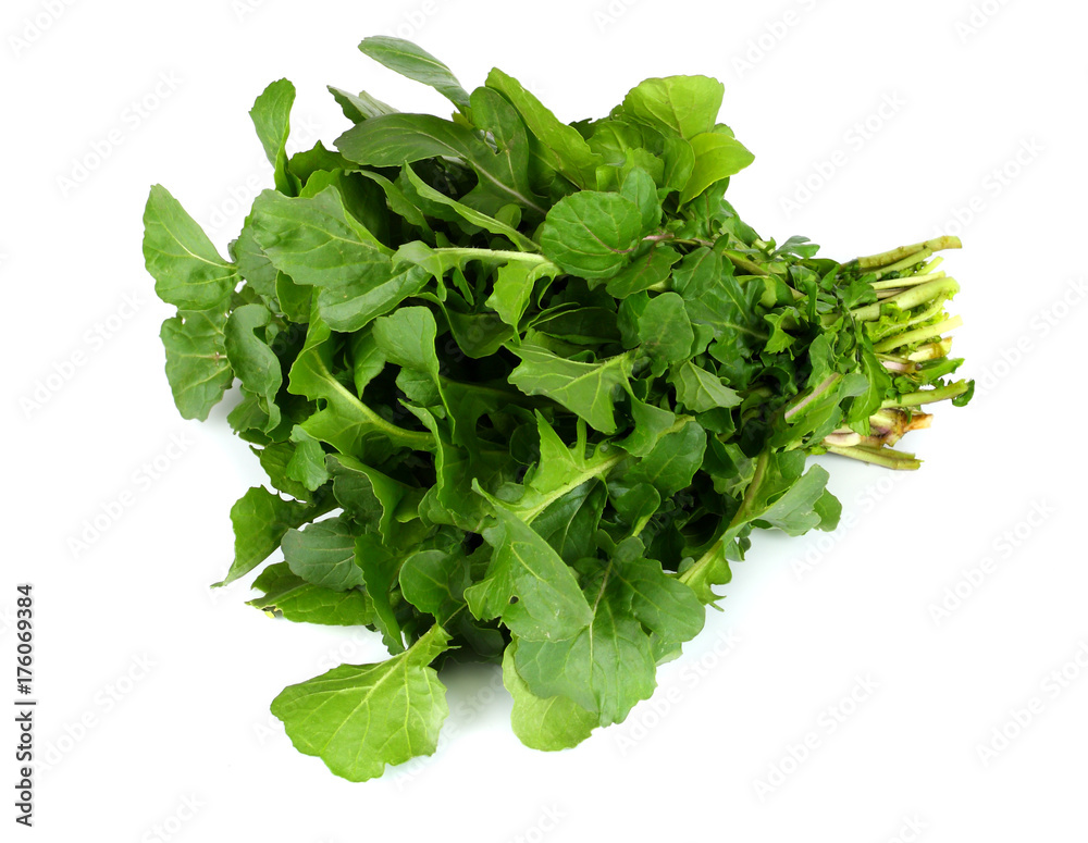 green fresh rucola leaves isolated on white background. Rocket salad or arugula green fresh rucola leaves isolated on white background. Rocket salad or arugula