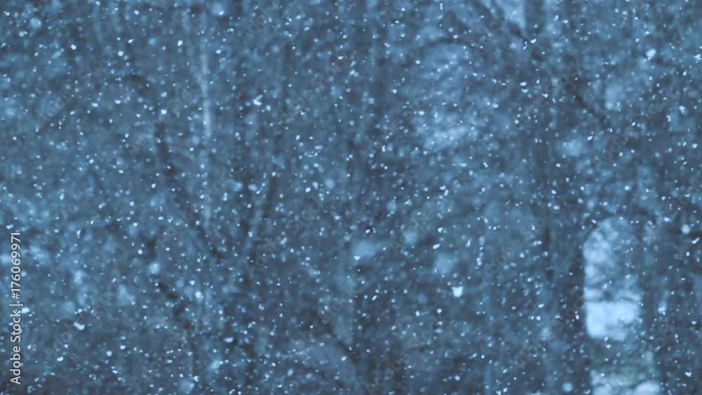Snow flakes falling in slow motion. Winter nature background.