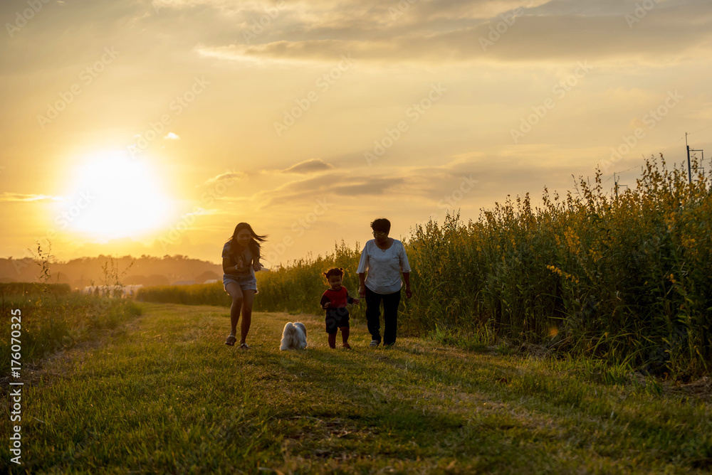 Grandmother, mother and daughter and a dog with happy family enjoying life together at meadow.