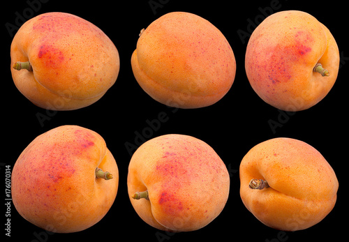 Apricot fruit closeup on balck