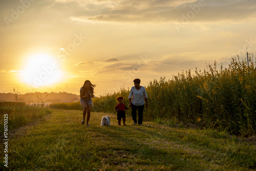 Grandmother, mother and daughter and a dog with happy family enjoying life together at meadow.