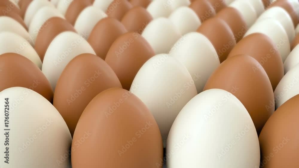 Closeup 3d CGI animation of camera moving along rows of brown and white chicken eggs. Seamless looping footage Closeup 3d CGI animation of camera moving along rows of brown and white chicken eggs. Seamless looping footage