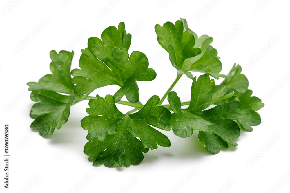 Parsley Parsley