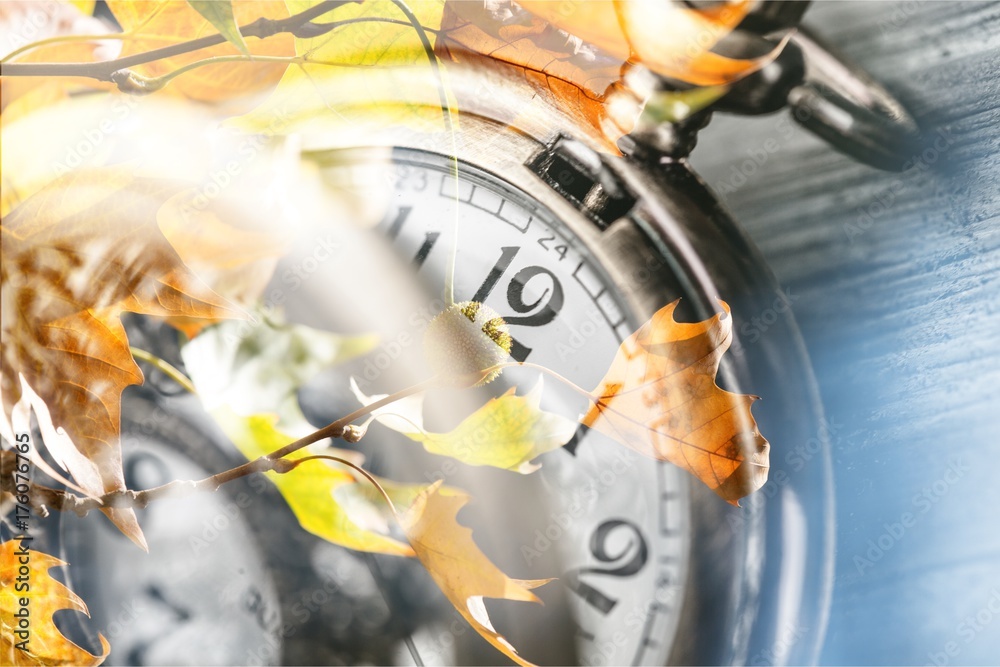 Fototapeta premium Autumn.