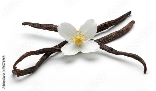 Vanilla stick with jasmine flower