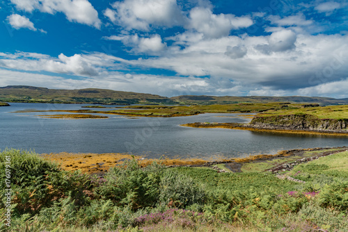 wildlife of green Scotland in england Skye Island