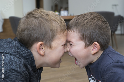 Children's quarrel, brothers crying at each other