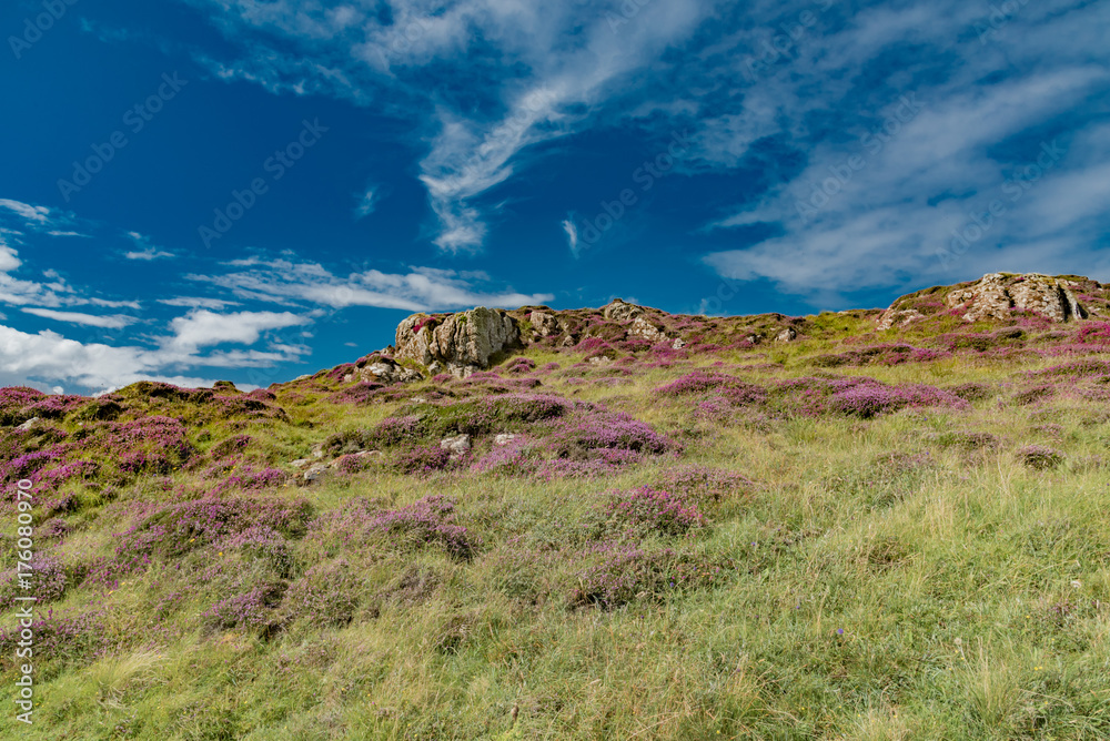 lands between sea and sky with green meadows of Scotland in England