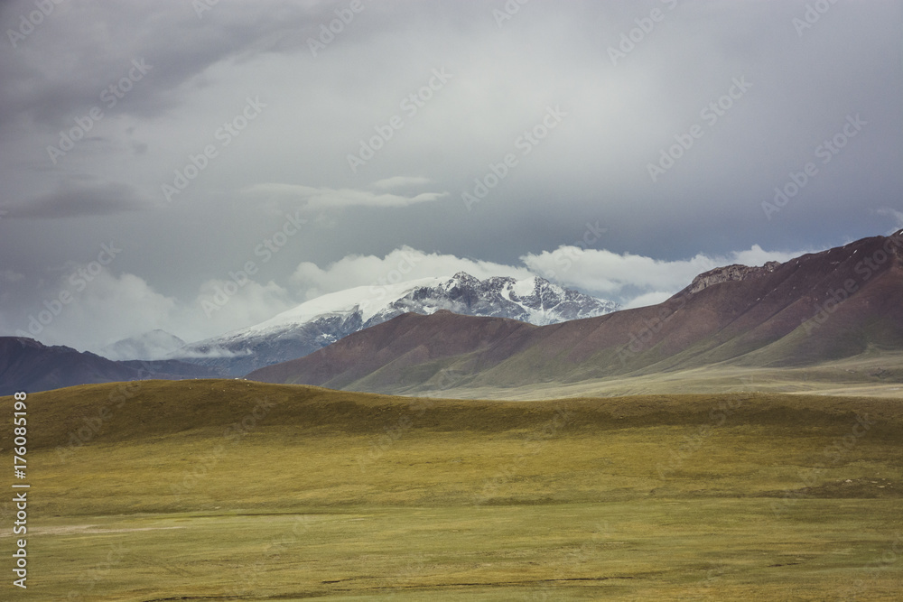 Summer green fields and snow covered mountain peaks. Landscape from the Tian Shan mountains of Kyrgyzstan.
