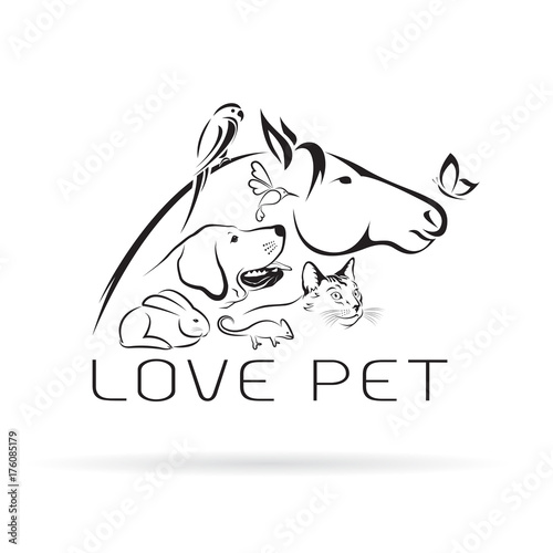 Vector group of pets - Horse, dog, cat, bird, butterfly, chameleon ,rabbit isolated on white background. Pet Icon.