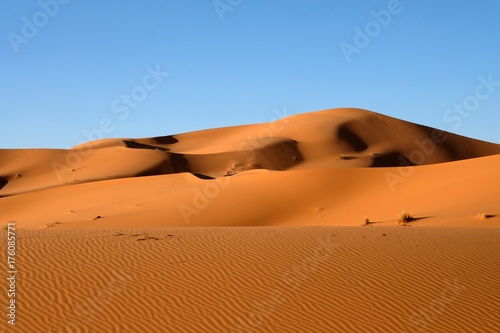 Sand dunes in Sahara desert.