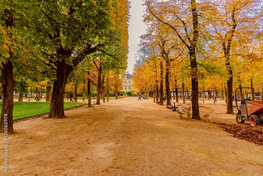 autumn in park in Luxembourg in Paris