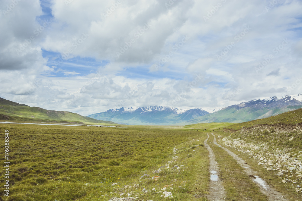 Green road through a huge glacier valley. Landscape from the Tian Shan mountains of Kyrgyzstan.