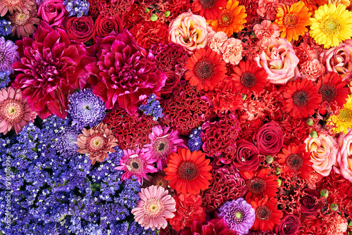 Colorful flowers background.  Top view