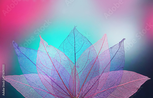 Macro leaves background texture blue, turquoise, pink color. Transparent skeleton leaves. Bright expressive colorful beautiful artistic image of nature.