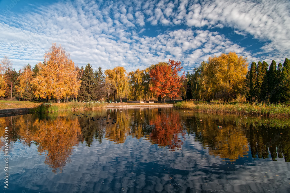 Beautiful autumn park with colorful trees and scenic sky reflected in the water.