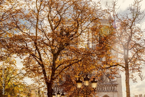 autumn on Notre Dame cathedral in Paris, France