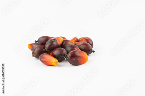 Commercial palm oil cultivation. Since palm oil contains more saturated fats. Oil from Elaeis guineensis is also used as biofuel. It is used as a cooking and in packed food products