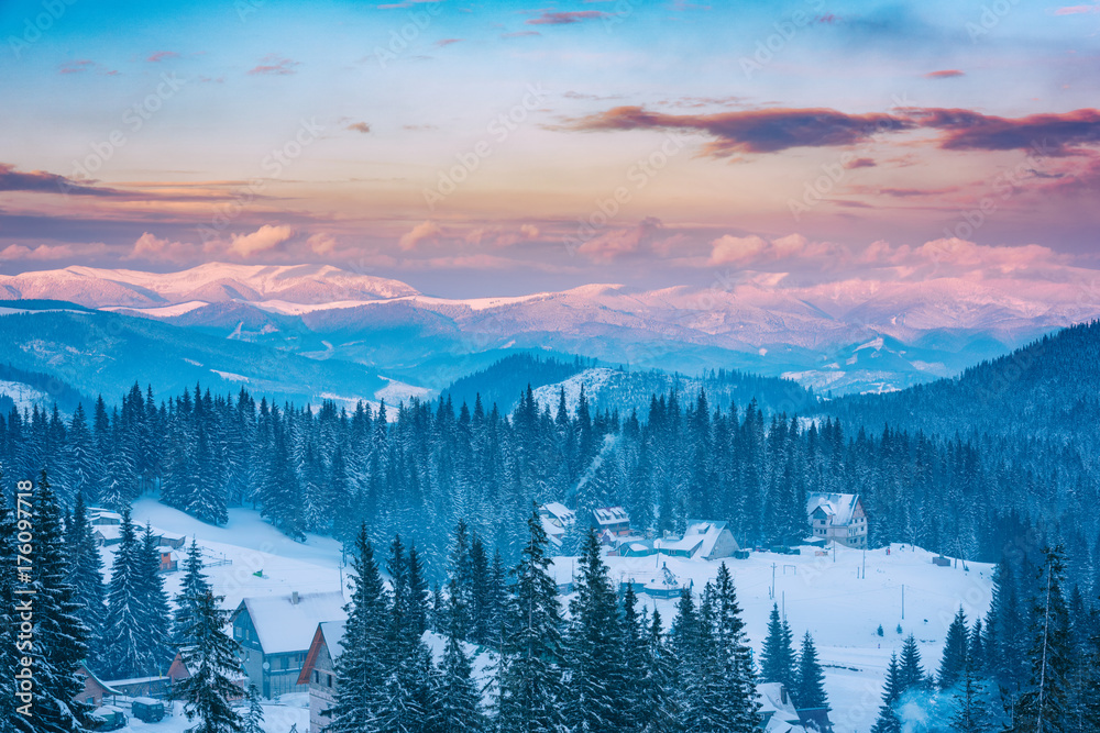 Fototapeta Beautiful winter mountains in sunset light, snowy alpine landscape, favorite tourist destination in Carpathians, ski resort Drahobrat, Ukraine