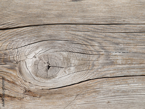 Wood Texture