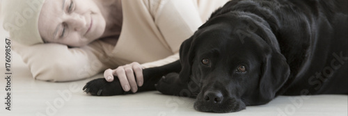 Black dog assistant on floor