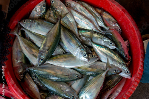 Markt in Stonetown, Sansibar,  Fische photo