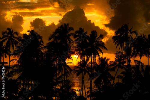 Sonnenaufgang Sansibar
