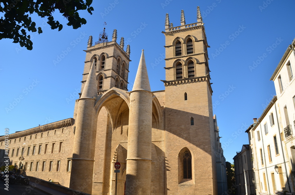 Cathédrale Saint-Pierre de Montpellier 