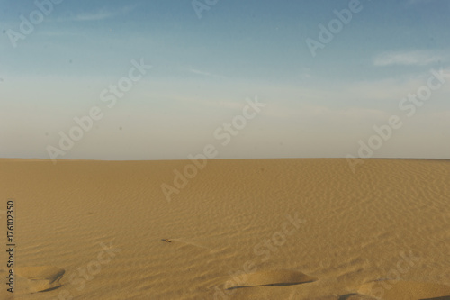 sand desert landscape . Dunes background