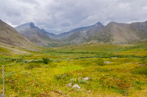 Tundra in the Subpolar Urals with views of the mountains on the horizon