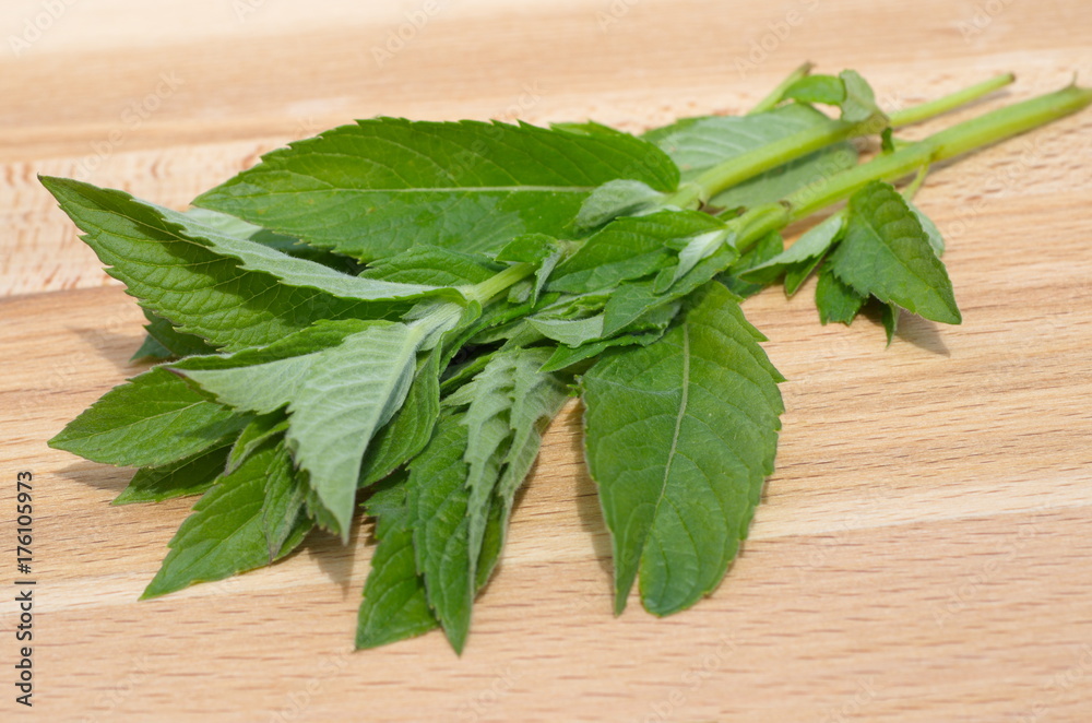 Longifolia mint on a wooden board Longifolia mint on a wooden board