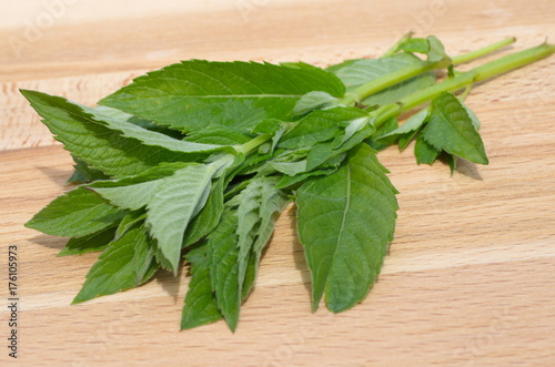 Longifolia mint on a wooden board